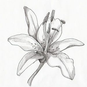 Meet your Posher, Cataleya